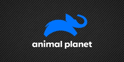 Animal Planet